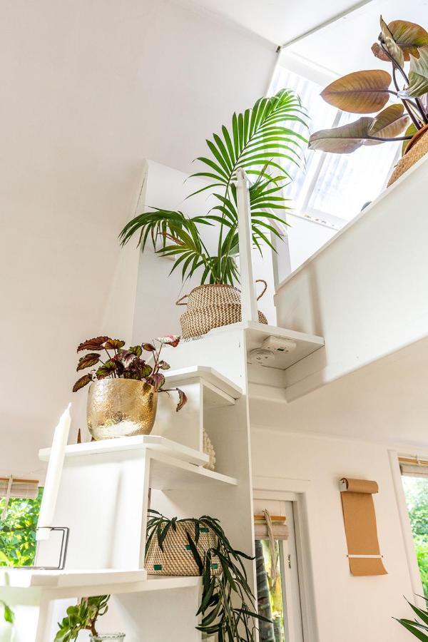 Boho Hill Waiheke Island Villa Palm Beach Bagian luar foto