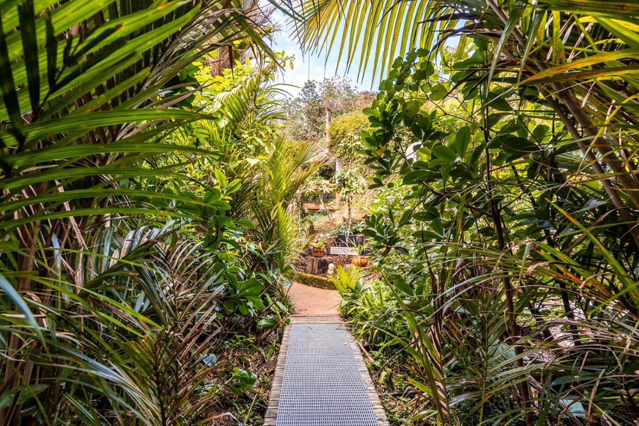Boho Hill Waiheke Island Villa Palm Beach Bagian luar foto