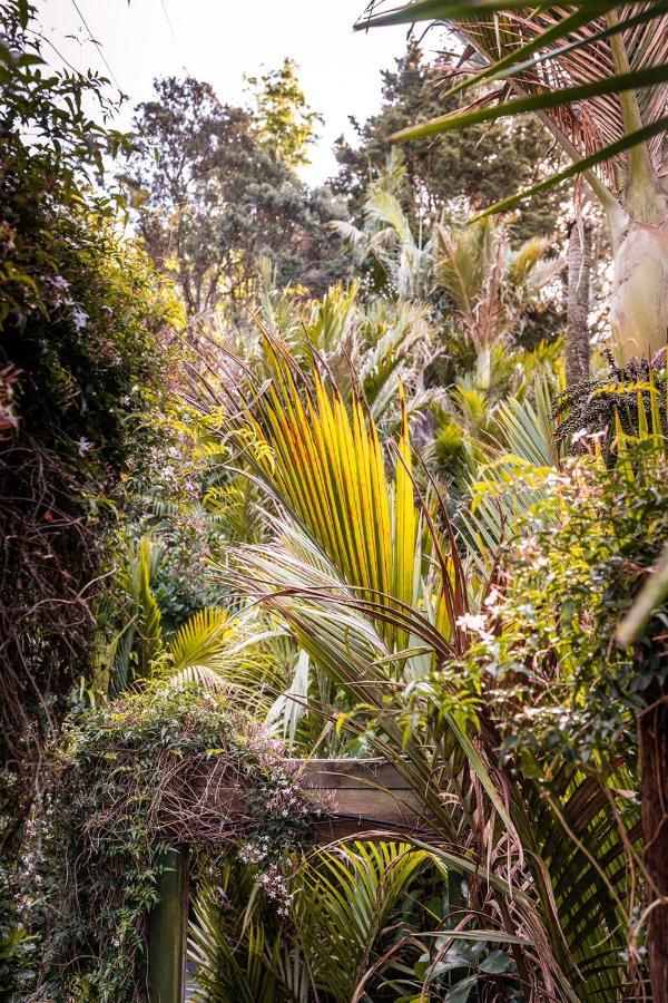Boho Hill Waiheke Island Villa Palm Beach Bagian luar foto