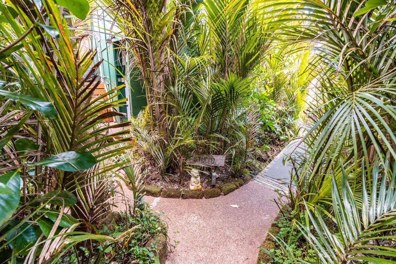Boho Hill Waiheke Island Villa Palm Beach Bagian luar foto